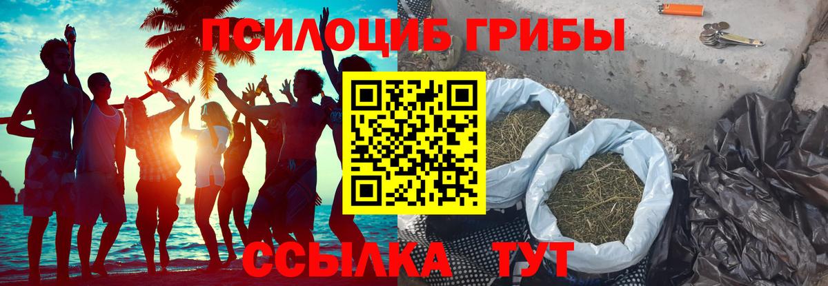 Галлюциногенные грибы прущие грибы Менделеевск