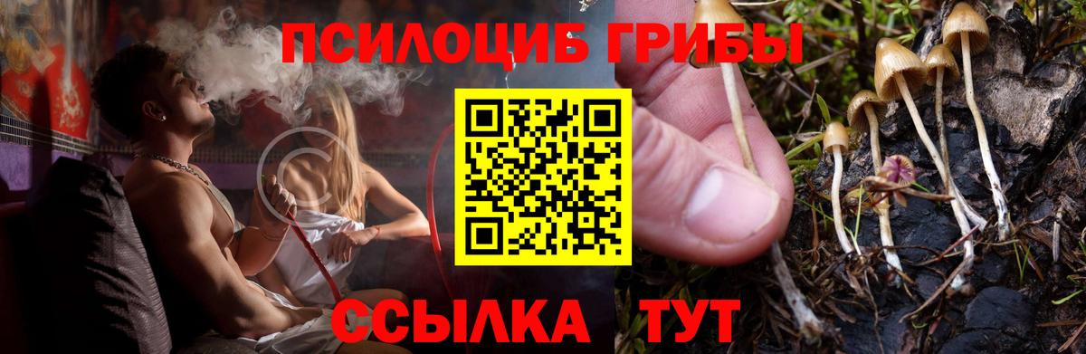 Менделеевск  Псилоцибиновые грибы GOLDEN TEACHER  Вход с VPN 